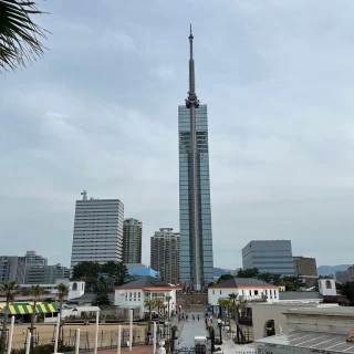 周辺の福岡タワー