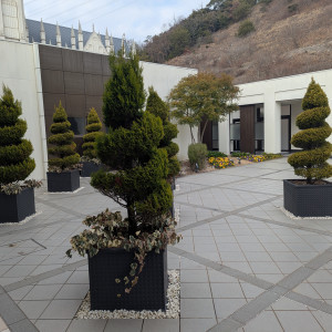 3rdの外。2ndに比べ自然が多い。|737176さんのノートルダム広島/FIVESTAR WEDDINGの写真(2367984)