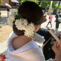 生花のベアード