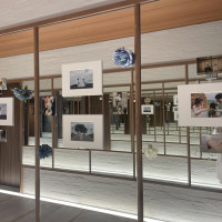 写真とか飾り放題