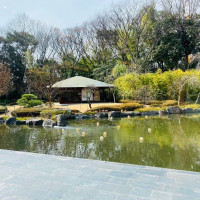 池のある庭園側