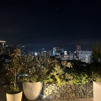 夜になるとより一層都会感のある景色。