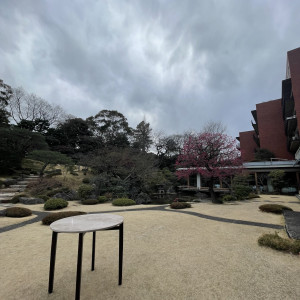 梅が見える庭園|738012さんの国際文化会館（International House of Japan）の写真(2373374)