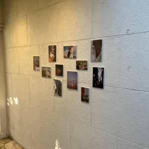 壁にフォトスペースあり|738071さんのアーカンジェル代官山/テイクアンドギヴ・ニーズウェディングの写真(2397515)