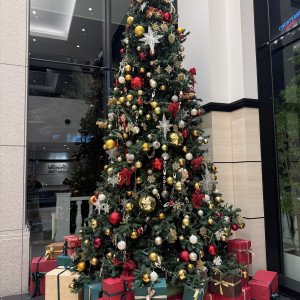 式場の出入口に巨大クリスマスツリー|738076さんのアルカンシエル luxe mariage 大阪（アルカンシエルグループ）の写真(2592851)