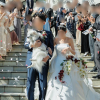 ガーデンの大階段でのフラワーシャワー