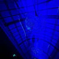 披露宴会場の天井