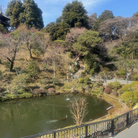 雲海が出ていない時間も庭園はとても綺麗です