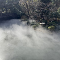 ご年配の方に人気の雲海
