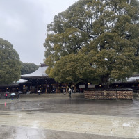 明治神宮は雨でも厳かな雰囲気がありました