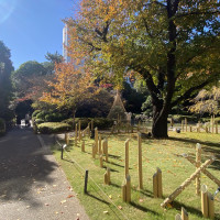 ホテル外観の正面にある庭。紅葉が美しい。