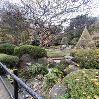 庭には池があり涼しげ。池の周りを回遊して散策できる。