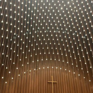 チャペル天井|738300さんのTIAD, オートグラフ コレクション（ティアド, オートグラフ コレクション）の写真(2570220)