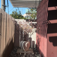 入ってすぐに見える景色。ここからわくわくが始まります。