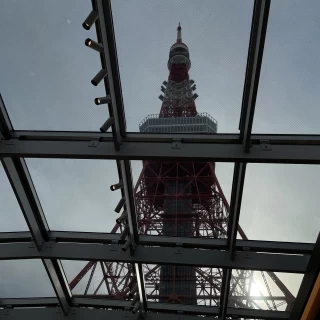 挙式会場の天井です