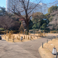 披露宴会場から見えるお庭