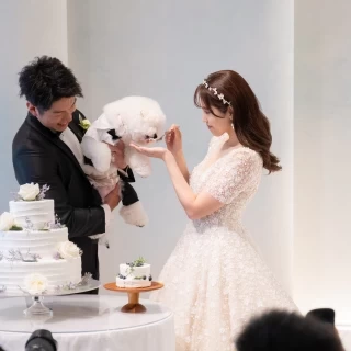 愛犬にケーキバイト