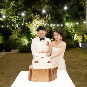 夜にケーキセレモニーを行うのでガーデンに電飾をつけました。|738496さんのTHE SEASON'S（ザ・シーズンズ）/テイクアンドギヴ・ニーズウェディングの写真(2377273)