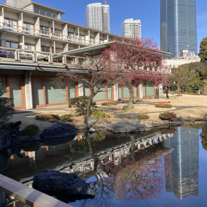 入場から乾杯までを芝生で行った。|738710さんの国際文化会館（International House of Japan）の写真(2377914)