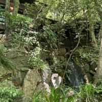 庭からの景色です。