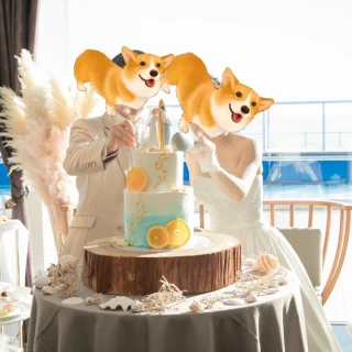 こだわり抜いたケーキ。見た目可愛いかつめちゃ美味しい感無量