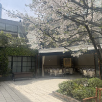 4月上旬のガーデン