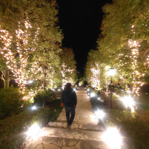 ライトアップ|739235さんのベイサイド迎賓館（松山）/テイクアンドギヴ・ニーズウェディングの写真(2422059)