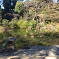 11時頃のお庭