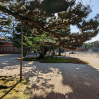 挙式会場までの景色