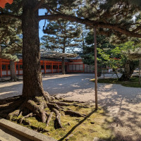 挙式会場までの景色