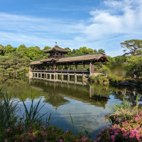庭園