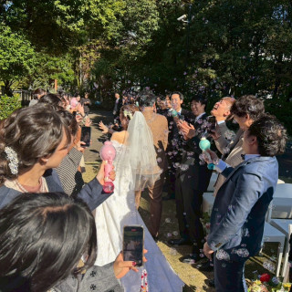 シャボン玉シャワー