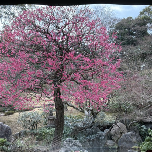 ガーデンウエディングを行う庭です。|739577さんの国際文化会館（International House of Japan）の写真(2386049)
