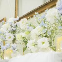 白いお花の中にちらほら青いお花があります。