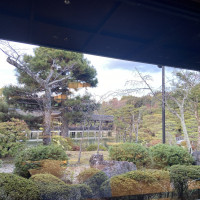 お庭