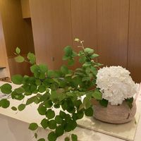 受付