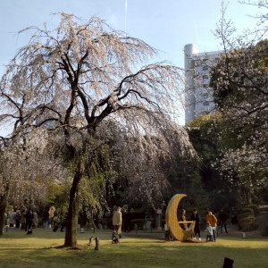 庭園桜|739775さんのグランドプリンスホテル高輪 貴賓館の写真(2410927)