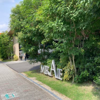 緑がたくさんありました。