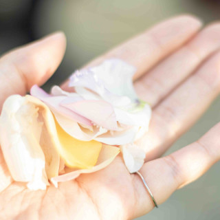 フラワーシャワーが生花だったのもテンションが上がりました。