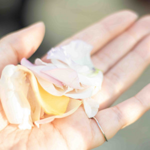 フラワーシャワーが生花だったのもテンションが上がりました。|739966さんのアーカンジェル迎賓館（宇都宮）/テイクアンドギヴ・ニーズウェディングの写真(2535645)