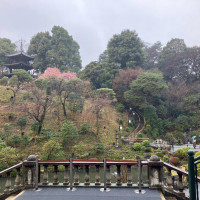 庭園が素敵でした。