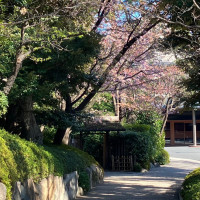 本館までの景観。