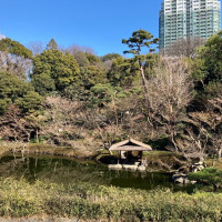 八芳園の庭園。