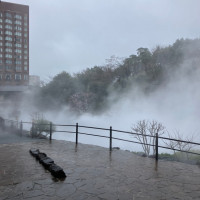 天気が良ければ、素敵なフラワーシャワーができそうです。
