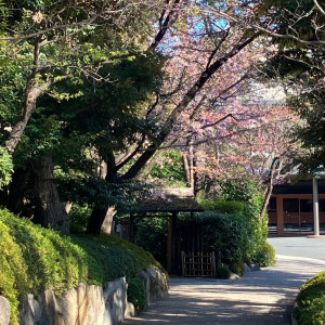 本館までの景観。|740007さんの八芳園の写真(2441266)