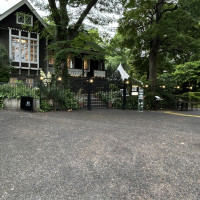 建物の前の大木が、資料館の美しさを更に引き立ててくれます。