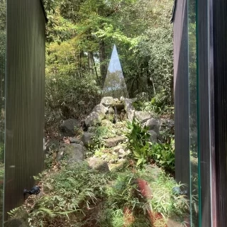 緑