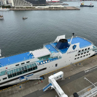 クルーズ船もみられます