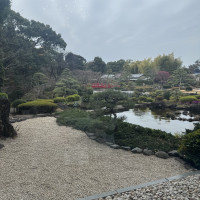鳳凰の間から見える庭園(3月上旬)
