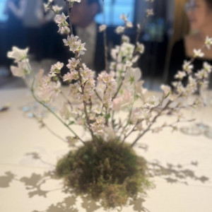 花、桜|740967さんのフォーチュンガーデン京都（FORTUNE GARDEN KYOTO）の写真(2393946)